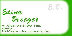 edina brieger business card